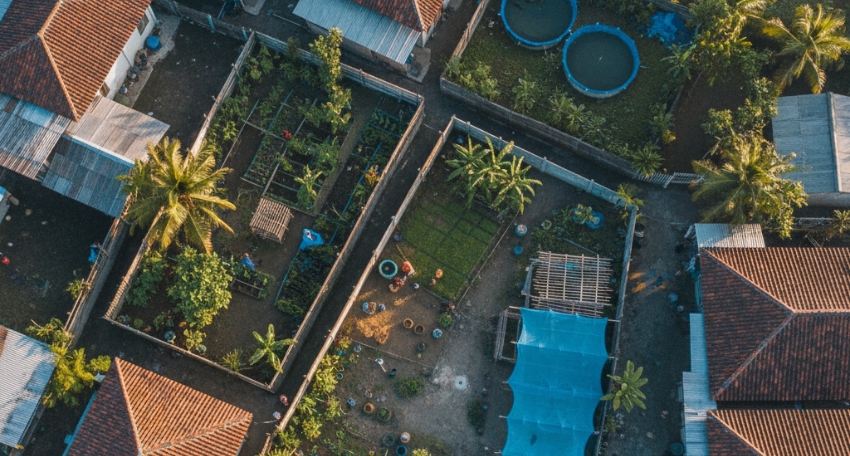 Ilustrasi kebun pekarangan, ayam petelur skala rumah, dan kolam ikan komunitas