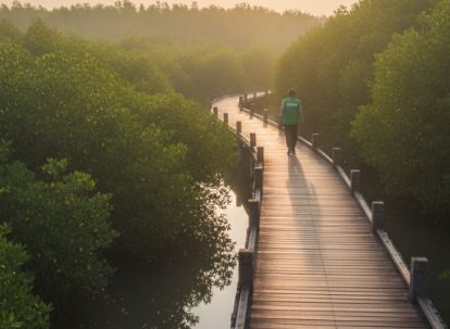 Ekowisata Seru, Edukatif, dan Berdaya